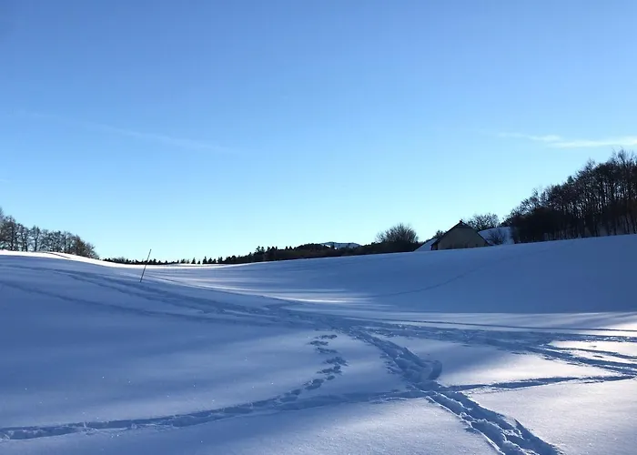 Club Les Sittelles Feriested