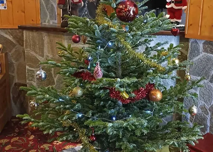 Club Les Sittelles Курортный комплекс 3*